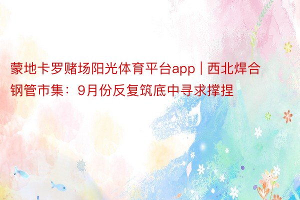 蒙地卡罗赌场阳光体育平台app | 西北焊合钢管市集：9月份反复筑底中寻求撑捏